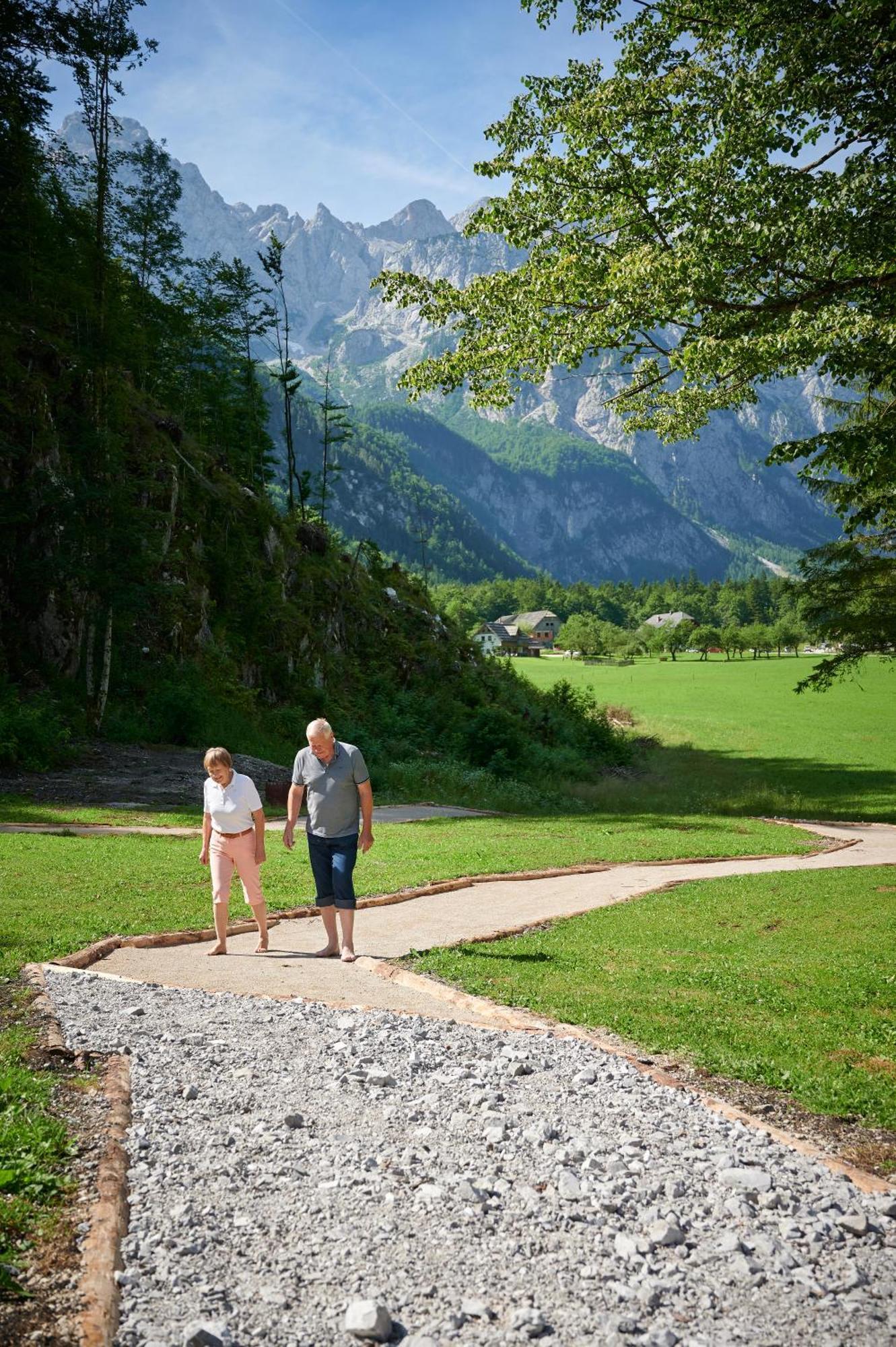 Hotel Plesnik Logarska Dolina Solčava Εξωτερικό φωτογραφία