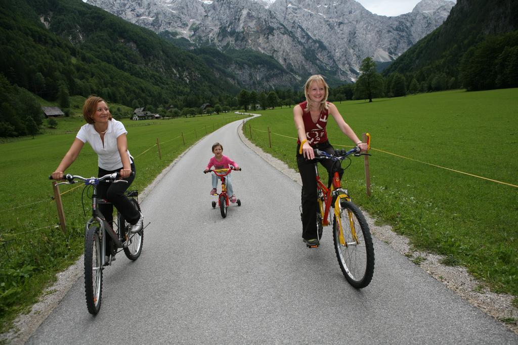 Hotel Plesnik Logarska Dolina Solčava Εξωτερικό φωτογραφία